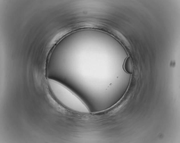 X0000092260938200709141023