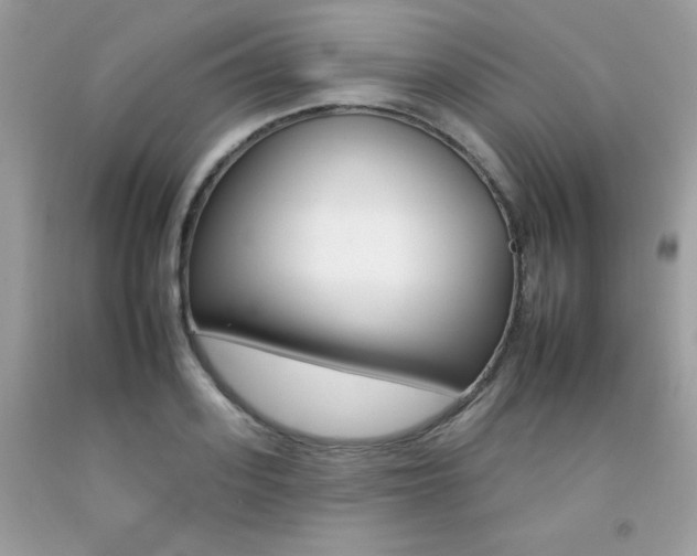 X0000092260939200709141023