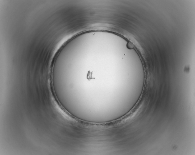 X0000092260941200709141023