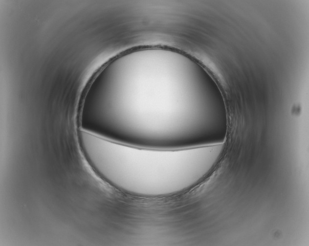 X0000092260943200709141023