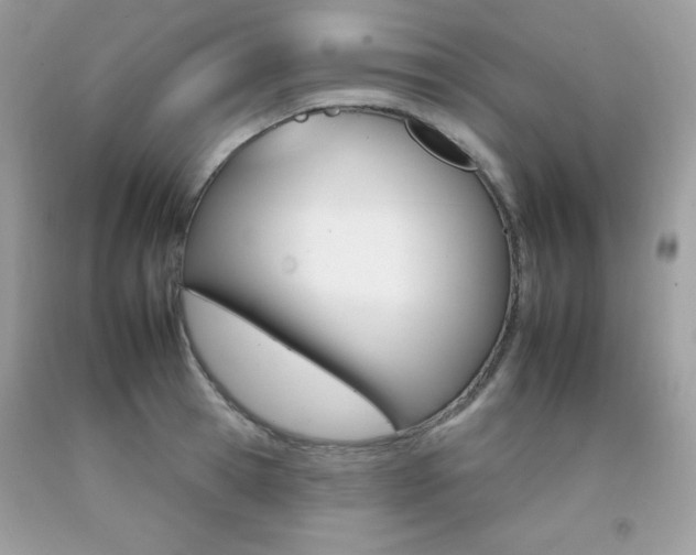 X0000092260945200709141023