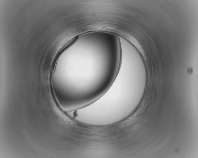 X0000092260946200709141023