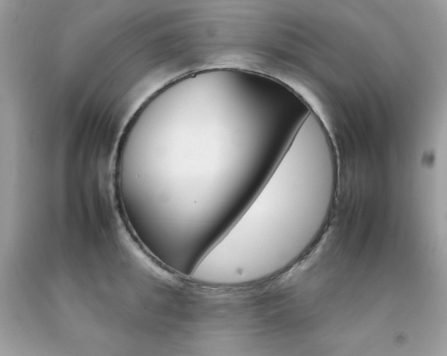 X0000092260949200709141023