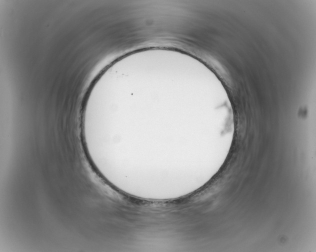 X0000092260950200709141023
