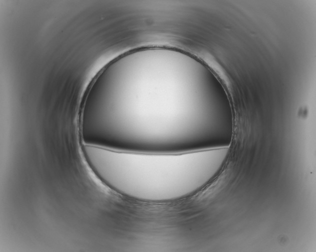 X0000092260951200709141023