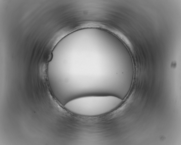 X0000092260953200709141023