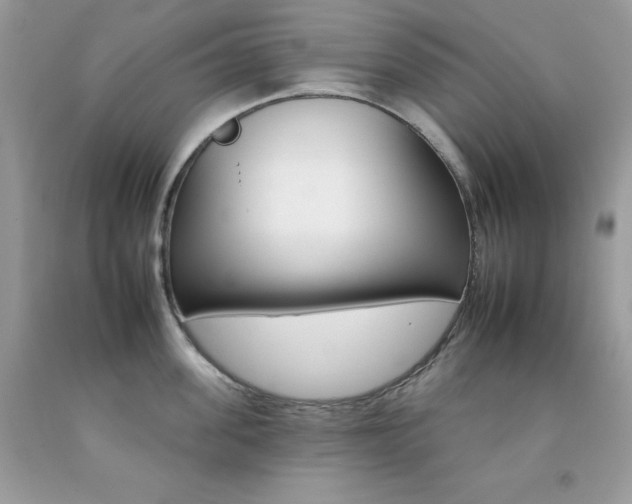 X0000092260955200709141023