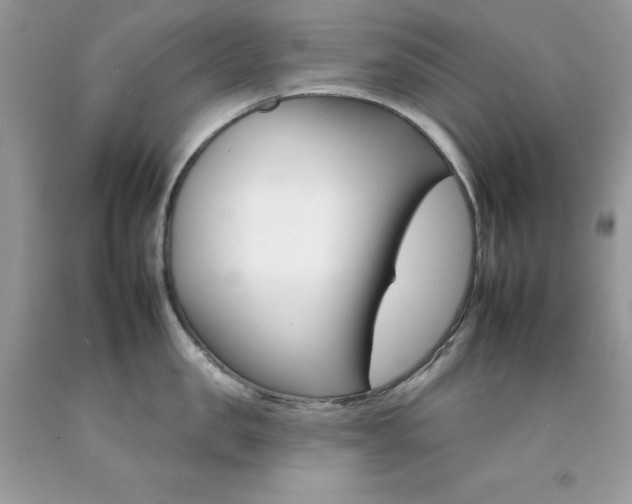 X0000092260957200709141023