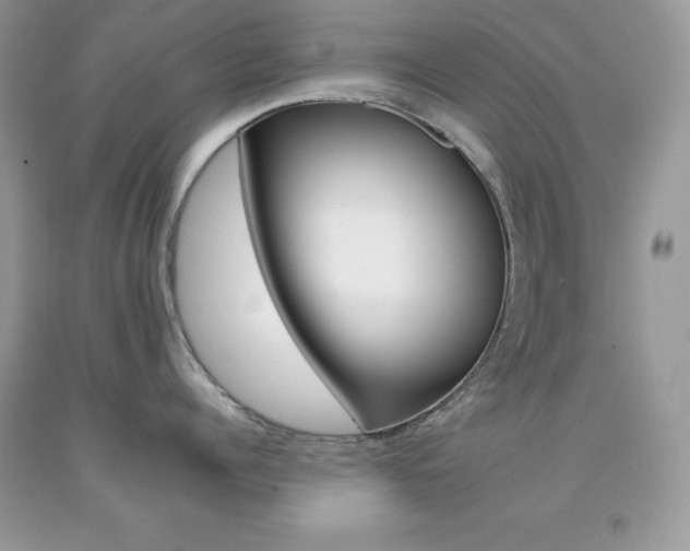X0000092260960200709141023