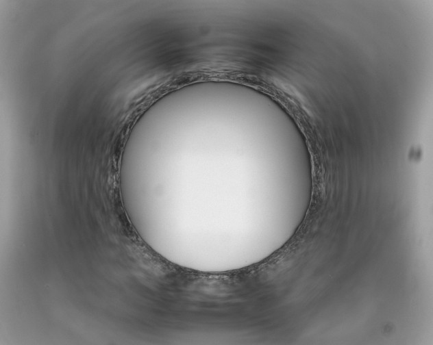 X0000092260966200709141023
