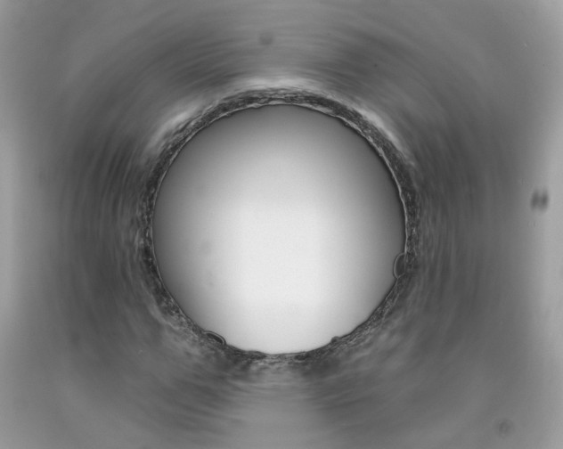 X0000092260967200709141023
