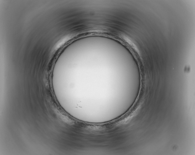 X0000092260970200709141023