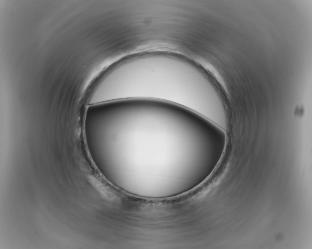 X0000092260973200709141023