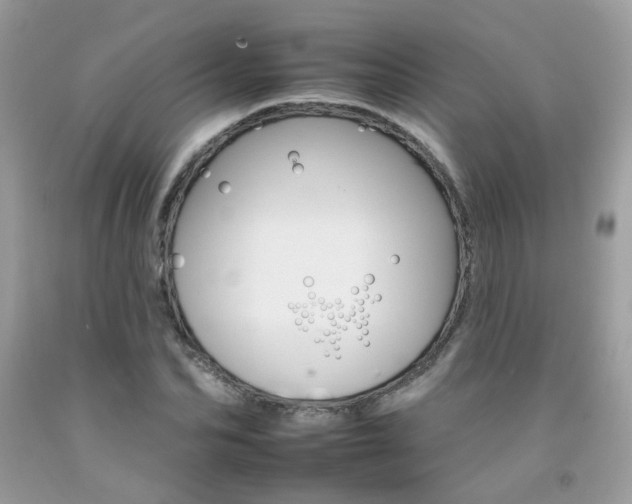 X0000092260974200709141023