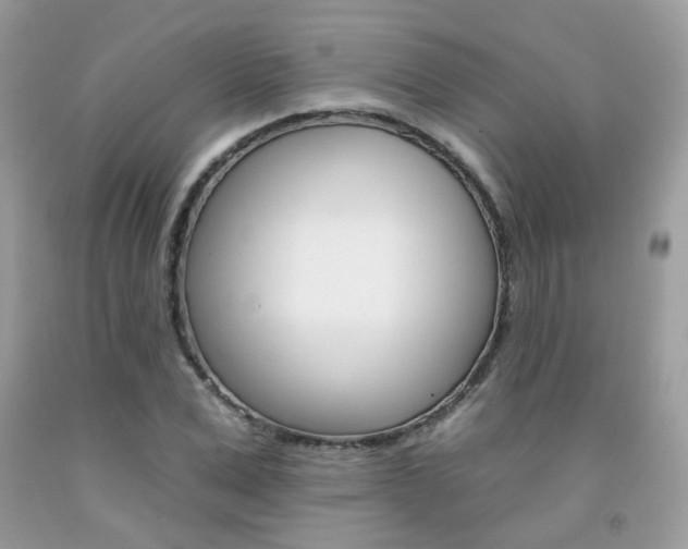 X0000092260975200709141023