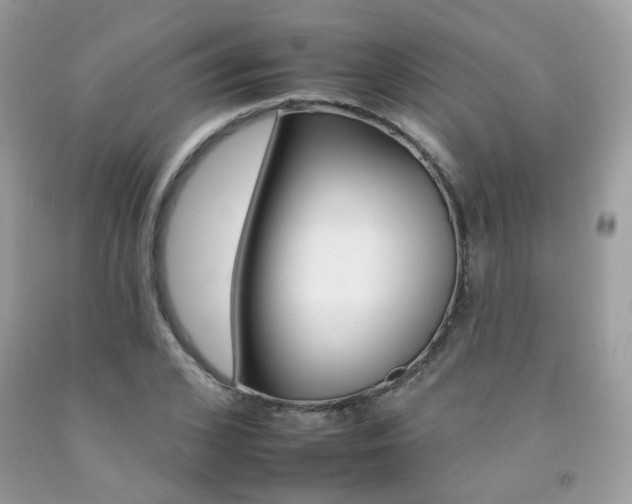 X0000092260976200709141023