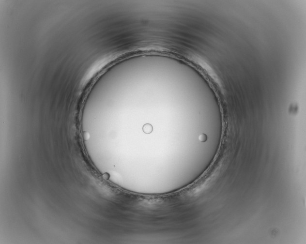 X0000092260978200709141022