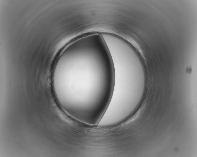 X0000092260981200709141022