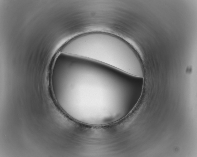 X0000092260983200709141022