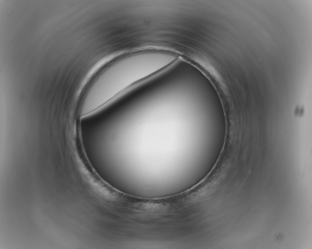X0000092260984200709141022
