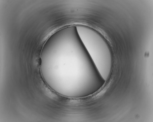 X0000092260985200709141022
