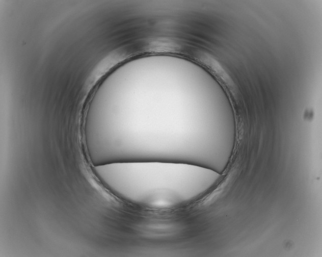 X0000092260986200709141022