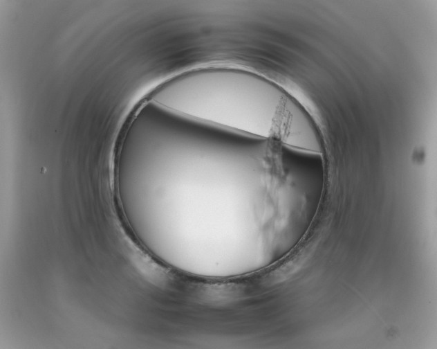 X0000092260988200709141022