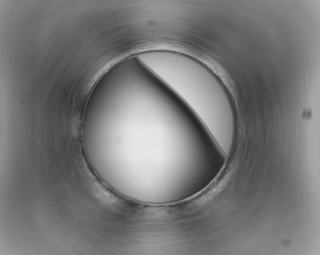 X0000092260993200709141022