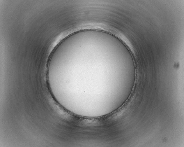 X0000092260994200709141022