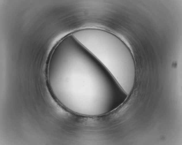 X0000092260995200709141022