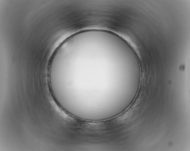 X0000092260998200709141022
