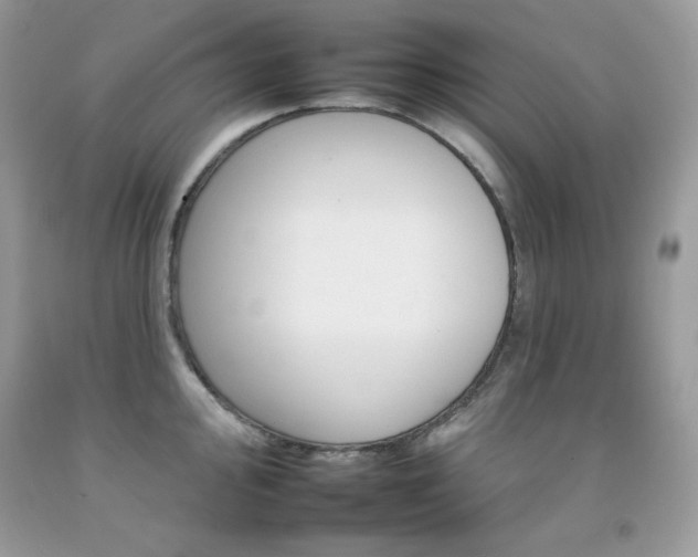 X0000092261000200709141022
