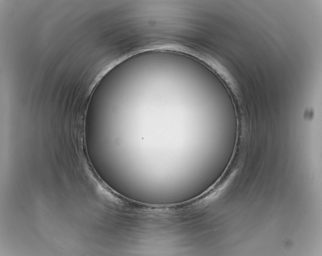X0000092261001200709141022