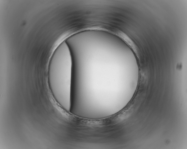 X0000092261002200709141022