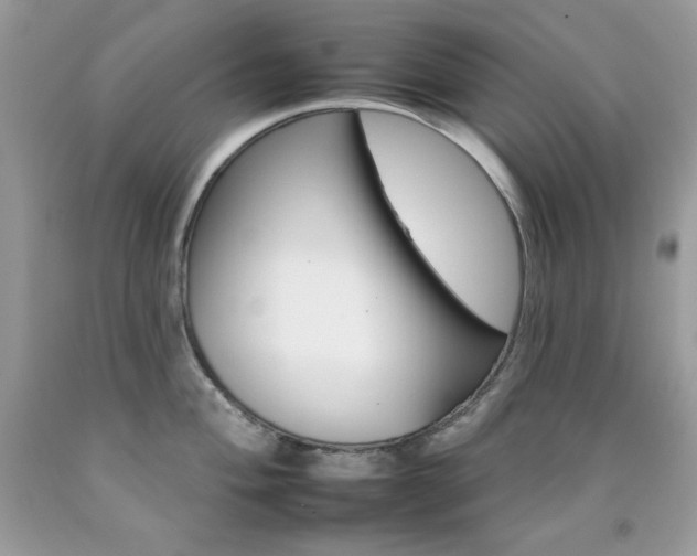 X0000092261004200709141022