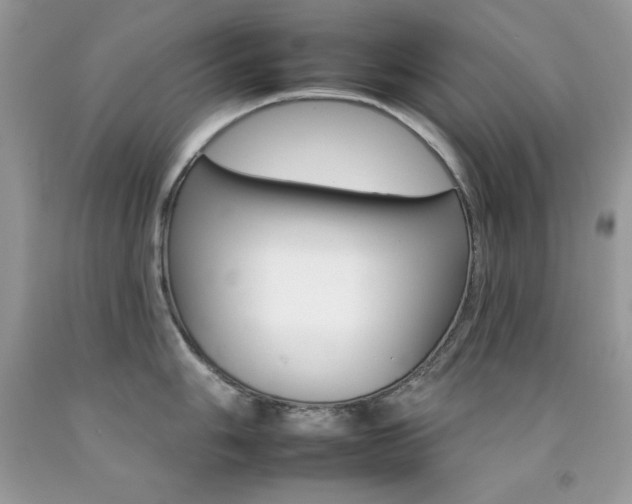 X0000092261006200709141022