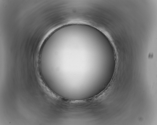 X0000092261008200709141022