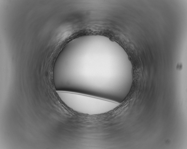 X0000092261009200709141021