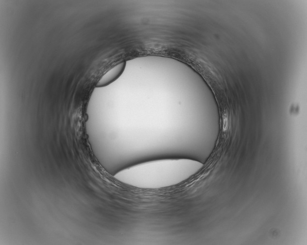 X0000092261011200709141021