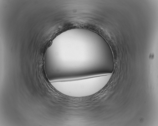 X0000092261012200709141021