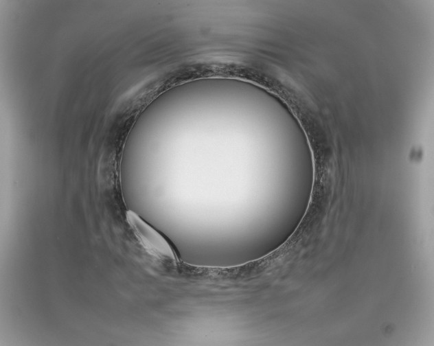 X0000092261014200709141021
