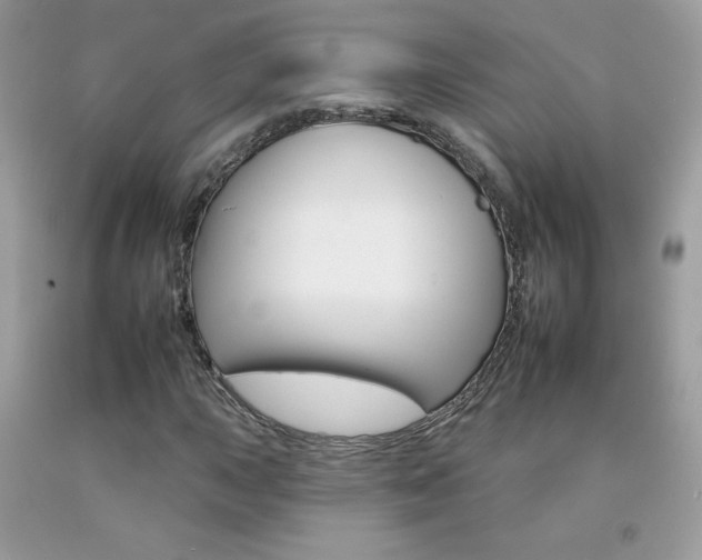 X0000092261015200709141021