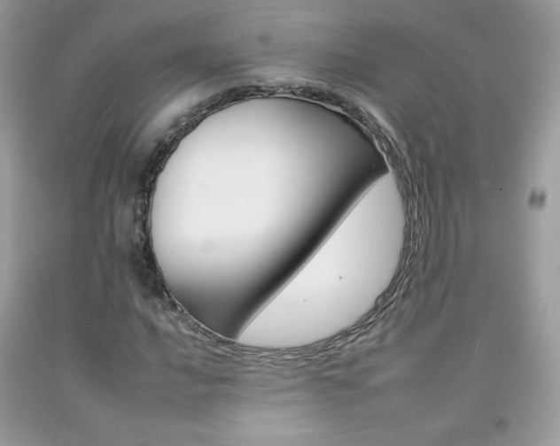 X0000092261016200709141021