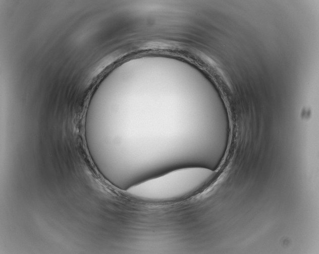 X0000092261017200709141021