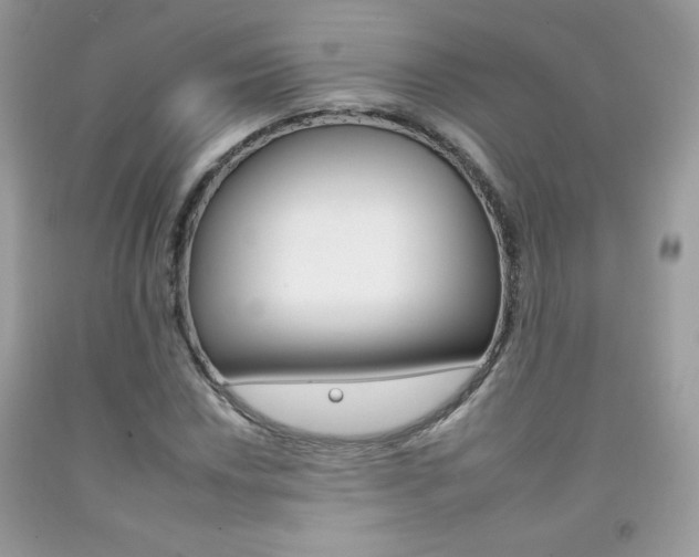 X0000092261018200709141021
