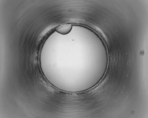 X0000092261019200709141021