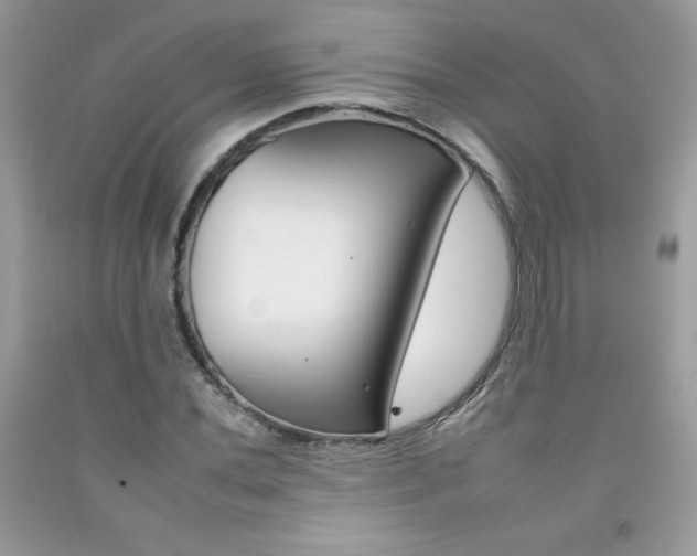 X0000092261020200709141022