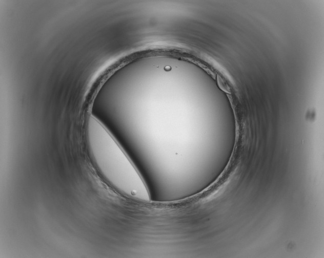 X0000092261021200709141022