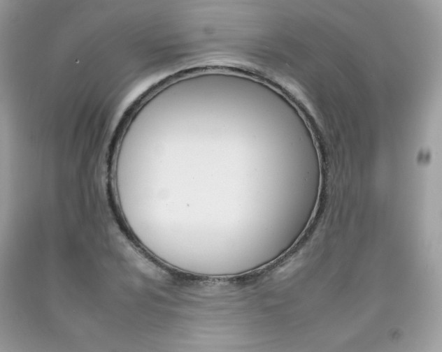 X0000092261024200709141022