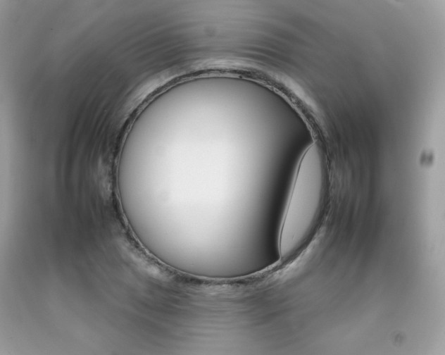 X0000092261025200709141022